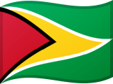 Flag of Guyana