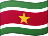 Flag of Suriname